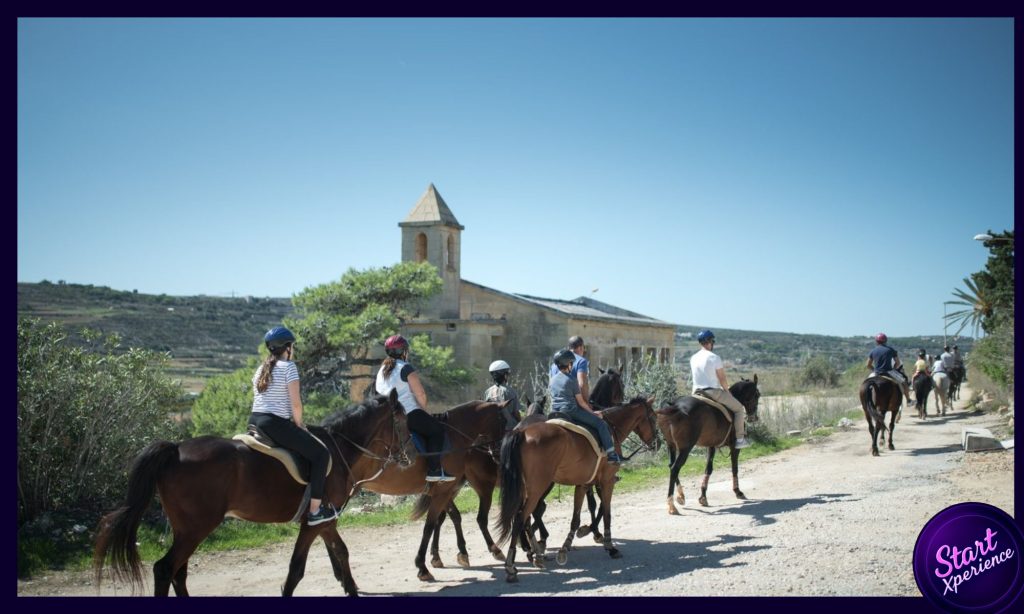 Balade à Cheval à Malte